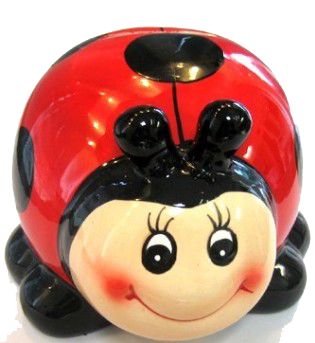 Poké Bowl Facile et Rapide