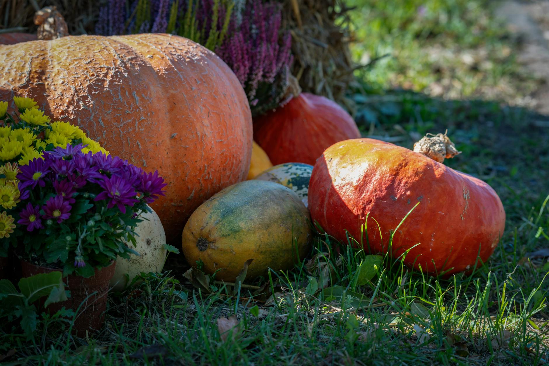 Velouté de Potimarron Light